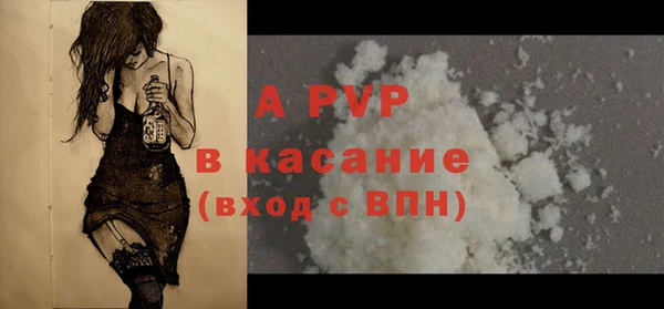 стаф Зеленокумск