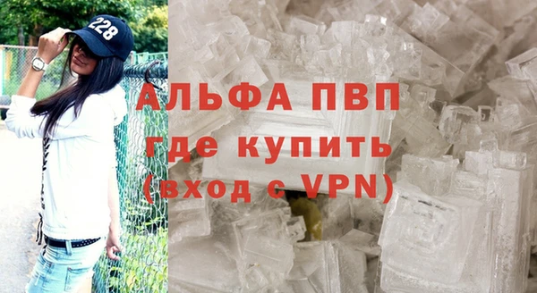 стаф Зеленокумск