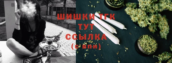 стаф Зеленокумск