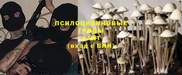 стаф Зеленокумск
