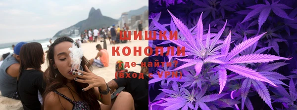 стаф Зеленокумск